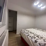 Avocado Wrocław
